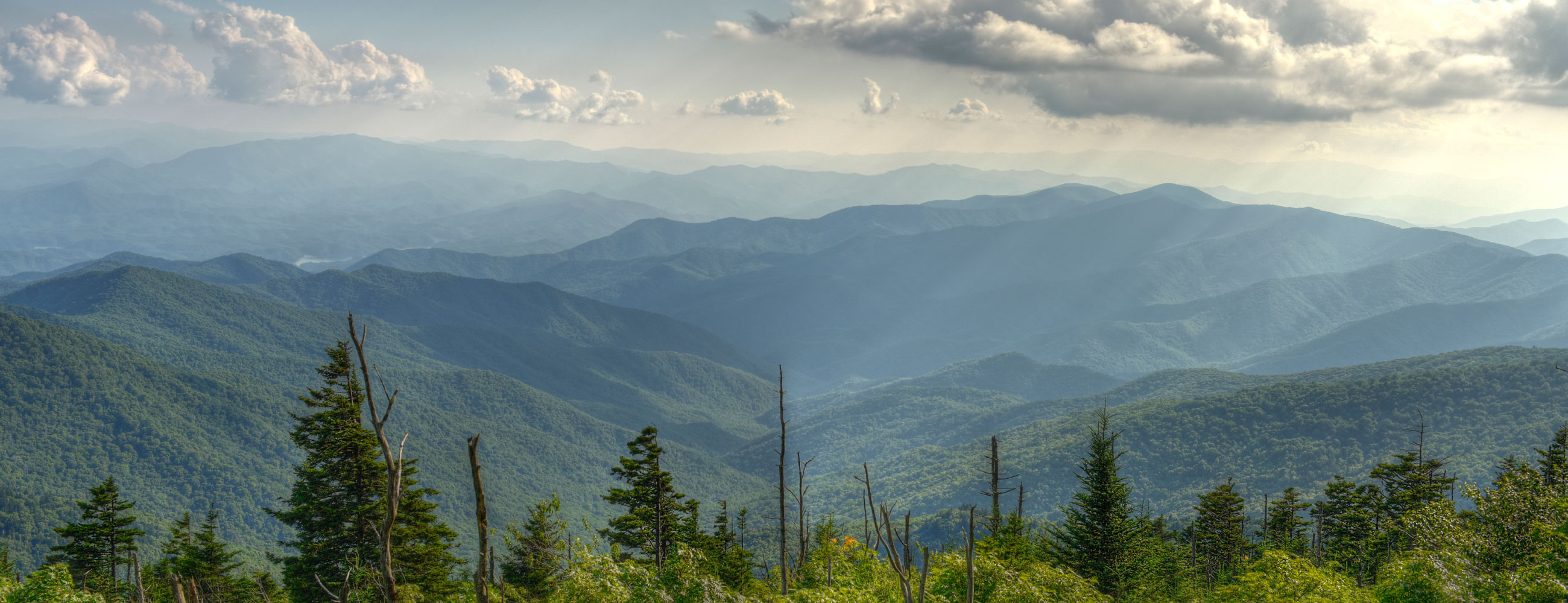 Artteel Decor Artteel Decor